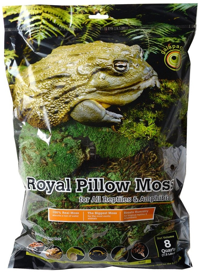 Galapagos Galápagos (05254) Royal Clumps of Real Pillow, Natural, 8 quart - Image 1